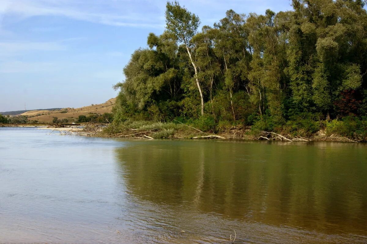 Р кубань краснодарский край. Река кубань кчр. Р кубань краснодарский край. Река кубань краснодарский край. Река кубань ставропольский край.