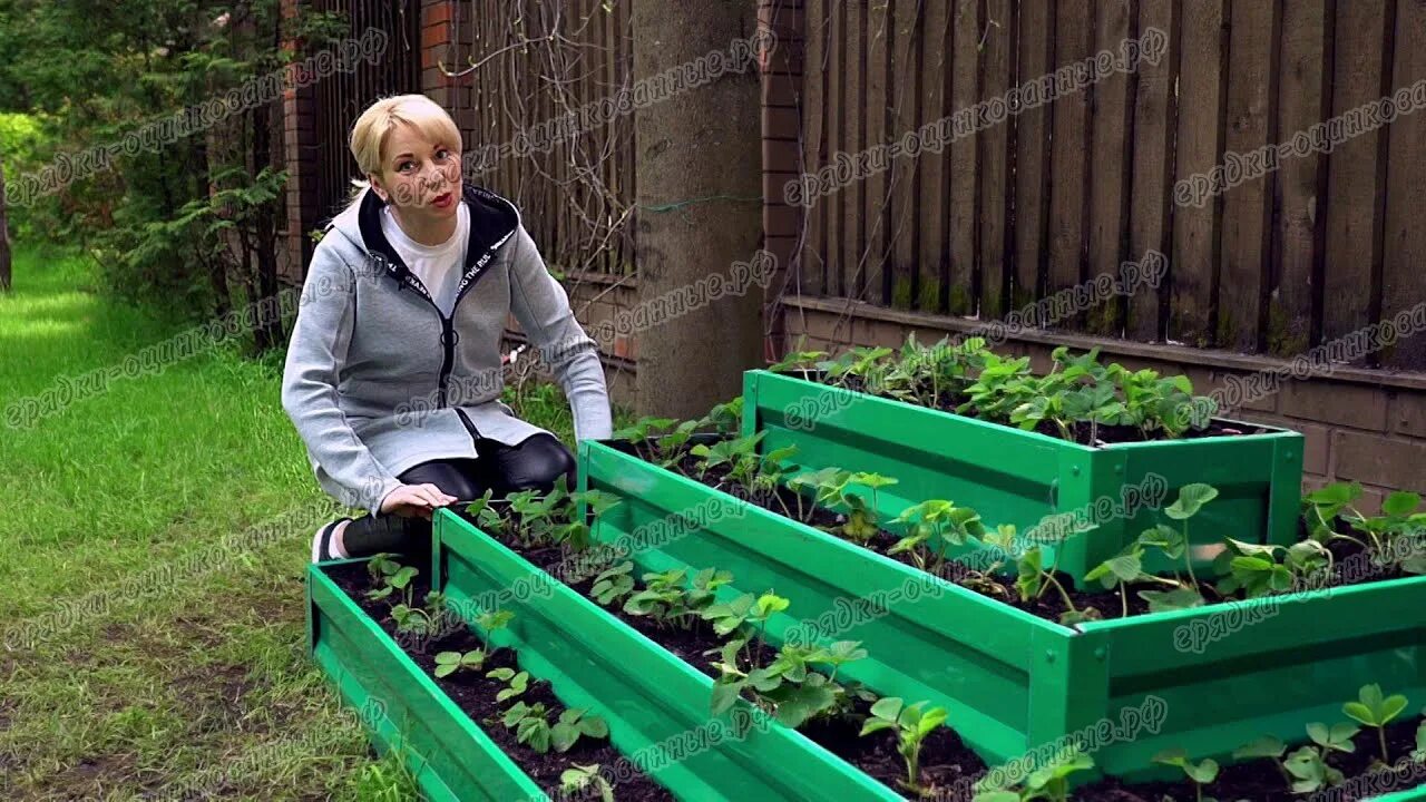 Вайлдберриз грядки