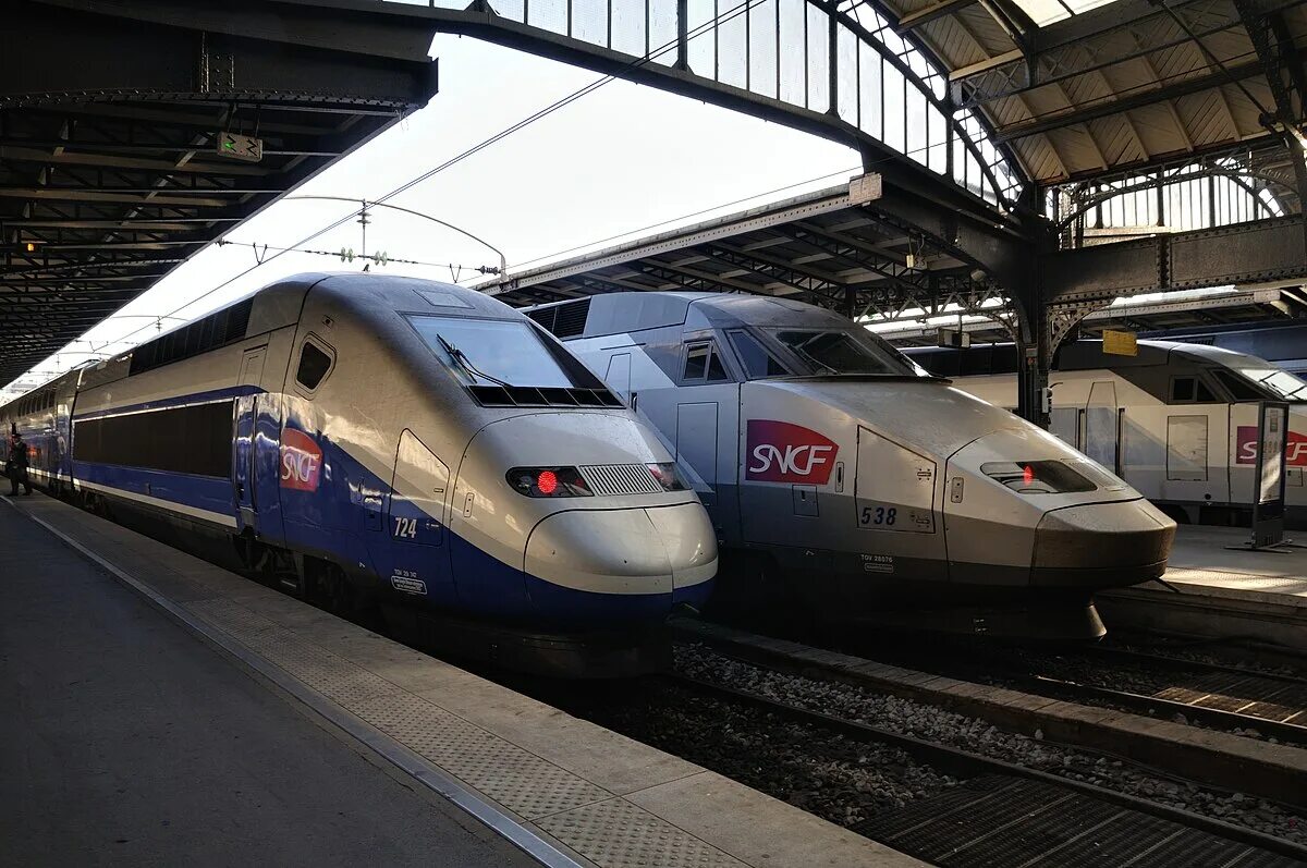 Французские скоростные поезда TGV. Скоростной поезд TGV Франция. Французский поезд TGV. Поезд TGV Франция. French train