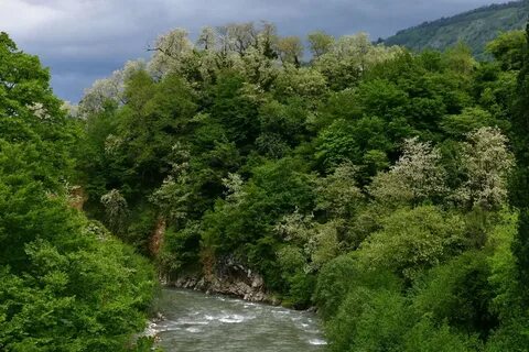 Абхазия 2 августа