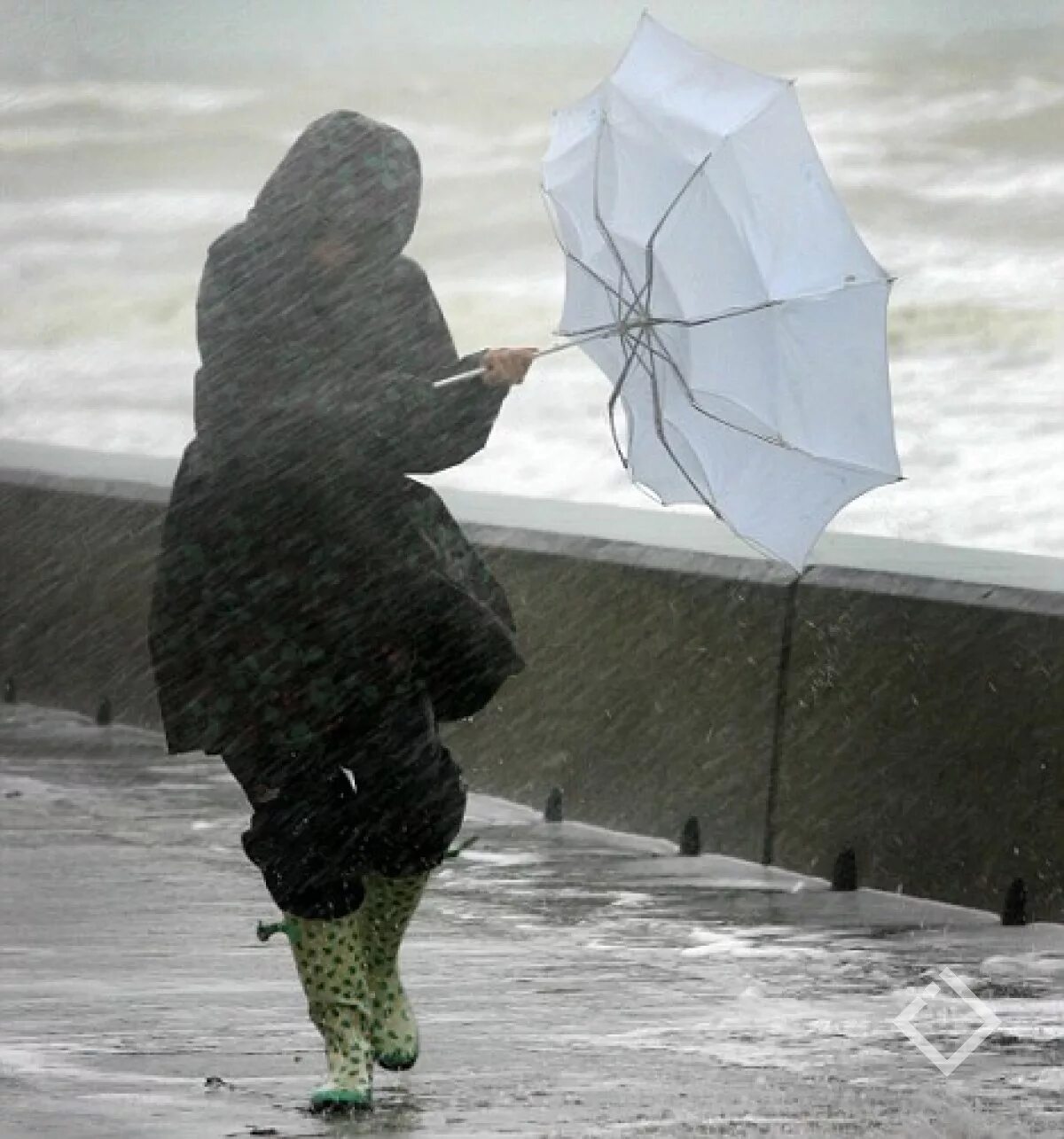 Сильный ветер. Дождь и ветер. Девушка с зонтиком. Сильный дождь.