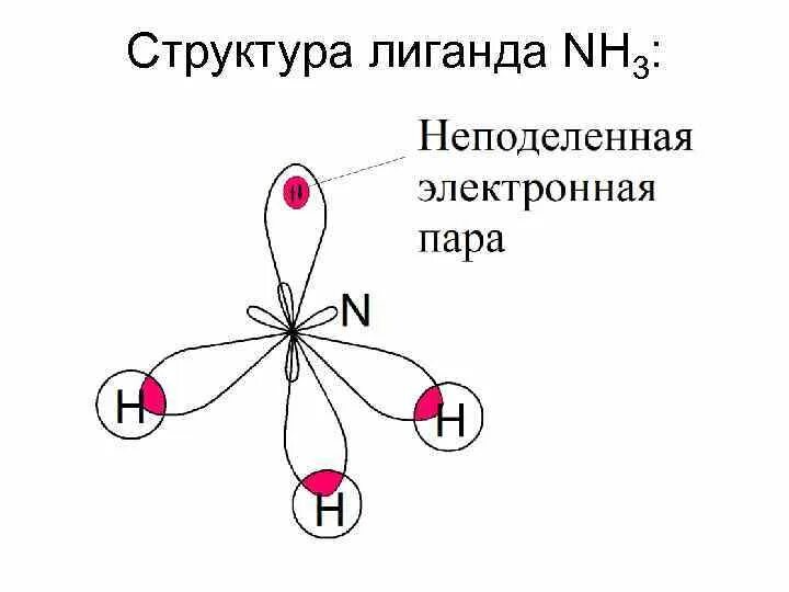Пространственная структура nh3. Пространственное строение комплексных соединений. пространственное строение молекул nh3. пространственная структура комплексного иона.