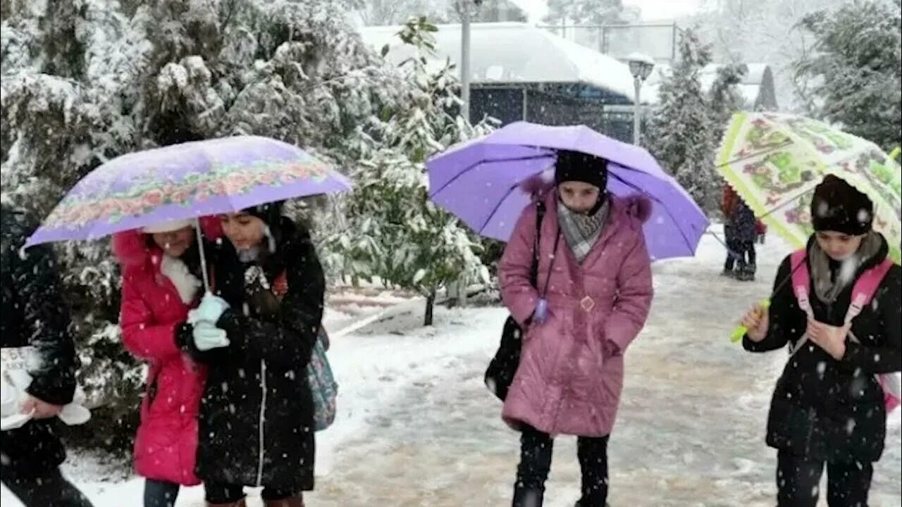 Погода в душанбе на месяц март. Климат Таджикистана. Душанбе климат. Погода в Душанбе. Об хаво. Душанбе.