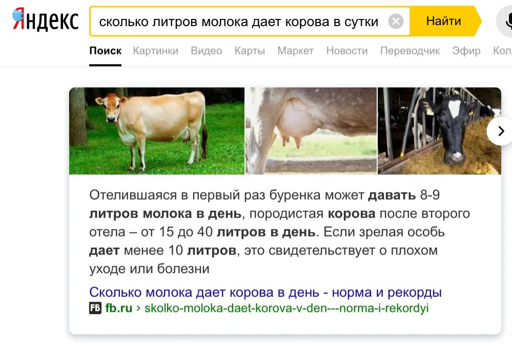 Найти корову. Корова пикабу. Корова ищет. Сколько литров молока даёт корова в день.