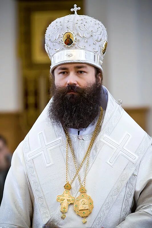 владыка андрей россошанский и острогожский. епископ россошанский и острогожский. епископ андрей росашанский. андрей острогожский епископ. андрей острогожский епископ.