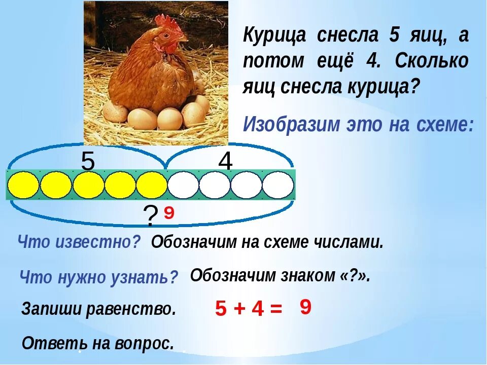 Сколько куры дают яйца. Сколько яиц несет курица. Сколько яиц несет курица в день. Сколько яиц несет курица в год.