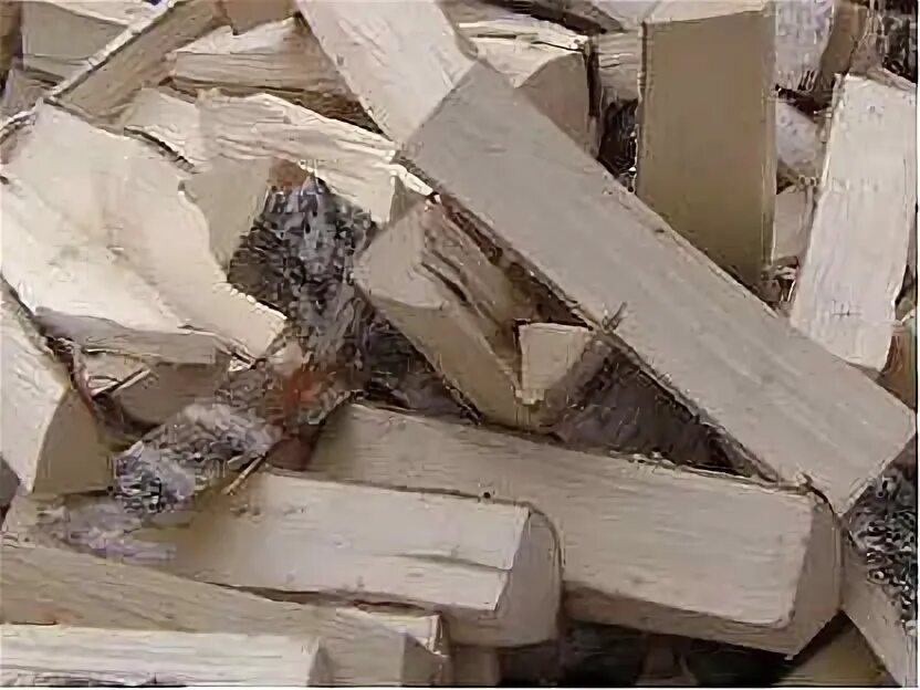 Хуторок ульяновск турбаза. Дрова ульяновск. Дрова ульяновск. Дрова ульяновск. Турбаза дрова.