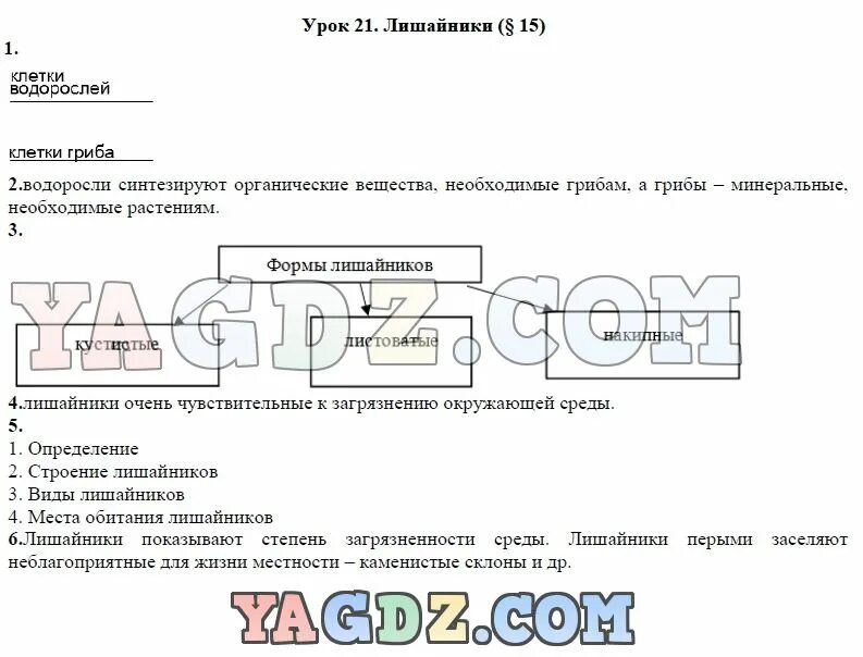 Параграф 15 биология 5 класс аудио. Рабочая тетрадь по биологии 5 класс Пасечник. Гдз биология 5 класс Пасечник рабочая тетрадь лишайники. Рабочая тетрадь по биологии лишайники. Биология 5 класс рабочая тетрадь лишайники.