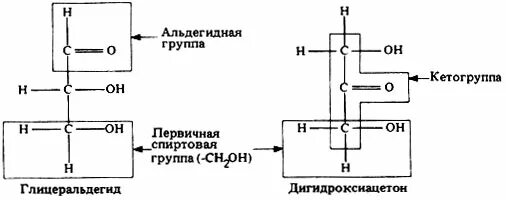 1 альдегидная группа. Строение глицеральдегида.