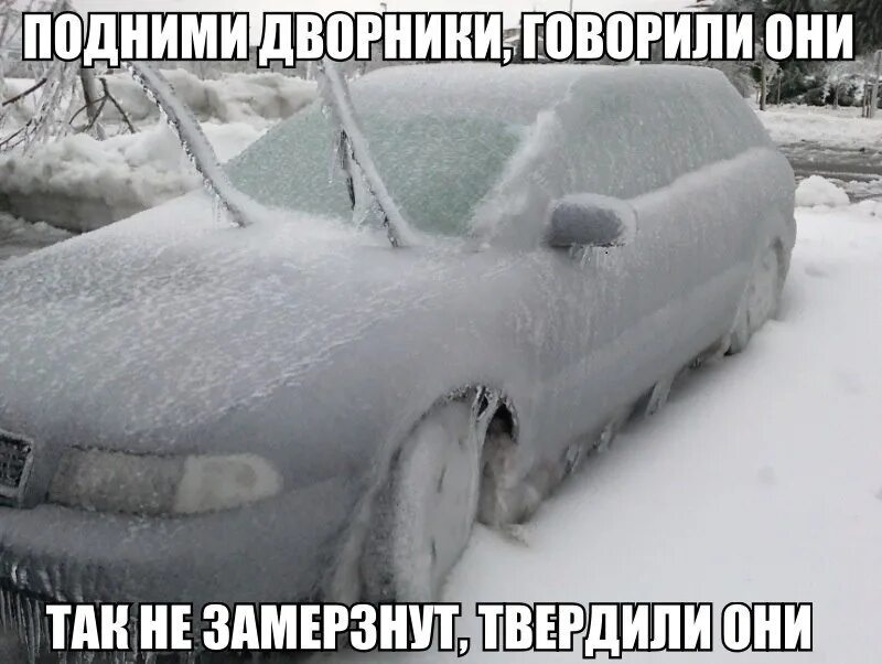 Замерзший правило