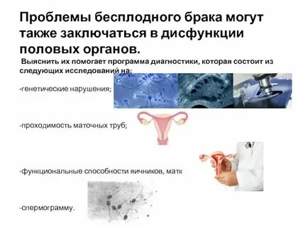 Бесплодных поисках