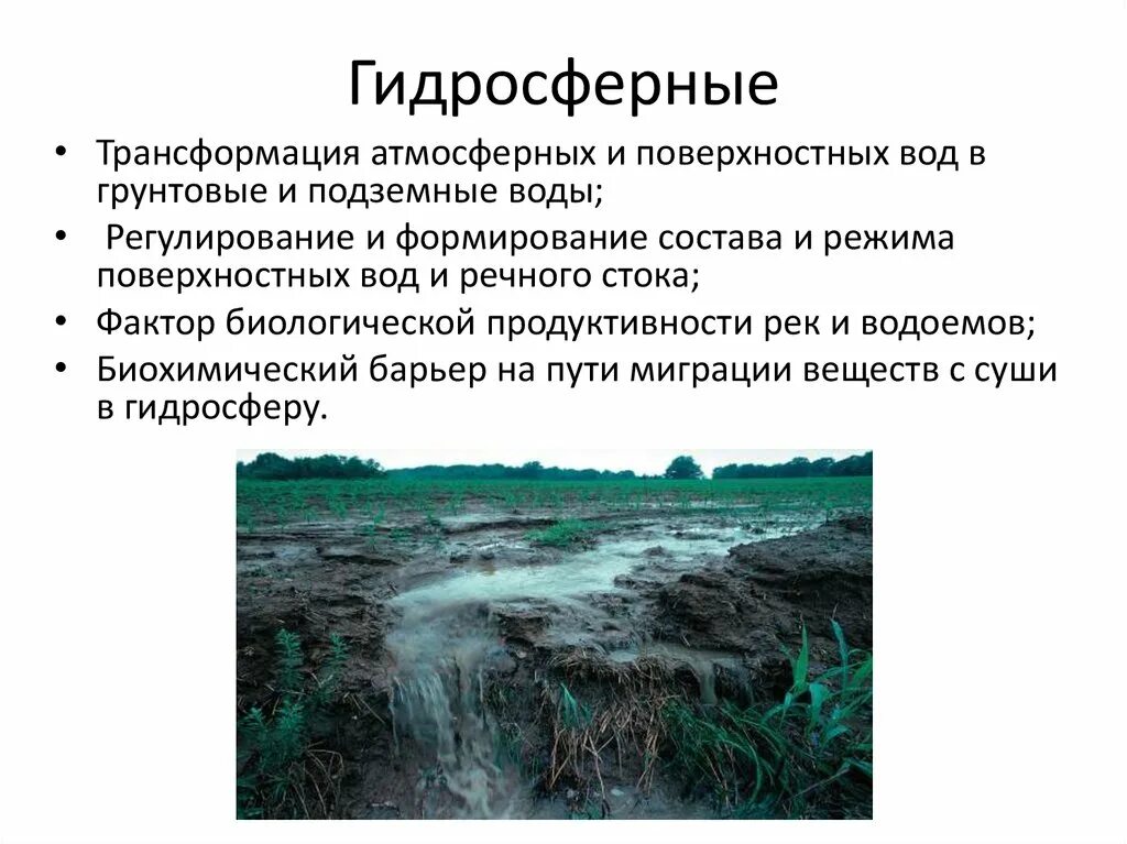 Экологическая роль почв. Гидросферная функция почвы. Экологические функции почв. Глобальные функции почвы. Глобальные экологические функции почв.