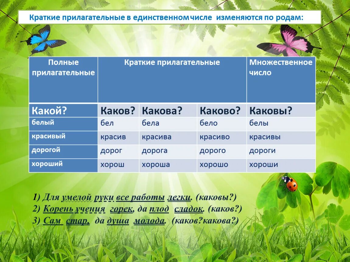 Краткие прилагательные изменяются по родам?. Прилагательные в единственном числе изменяются. Краткие прилагательные изменяются по числам и по родам. Краткие прилагательные не изменяются по числам. Кто что изменяется по родам и числам