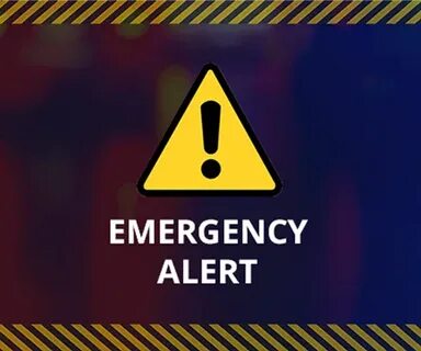Alert system