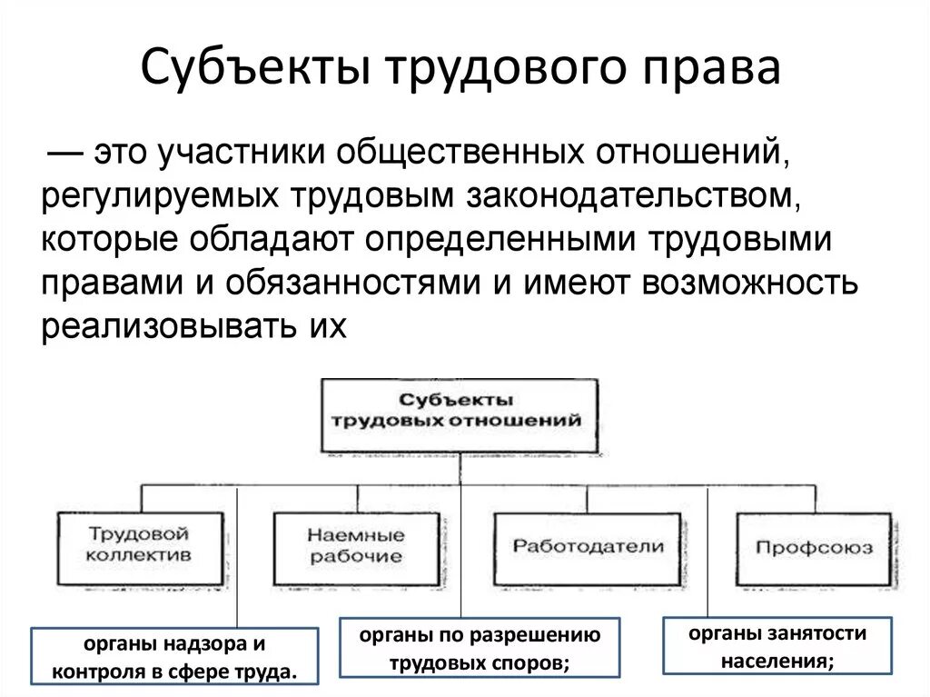 Кто из участников трудовых правоотношений имеет право. Виды субъектов в трудовом праве.