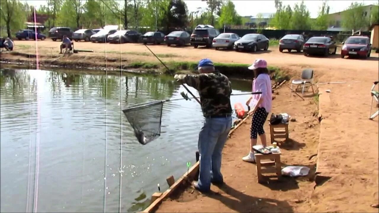 Пирогово платная рыбалка форум. Пирогово коргашино платная рыбалка. Рыбалка в торжке. Платная рыбалка в районе пирогово коргашино. Платная рыбалка в районе пирогово коргашино.
