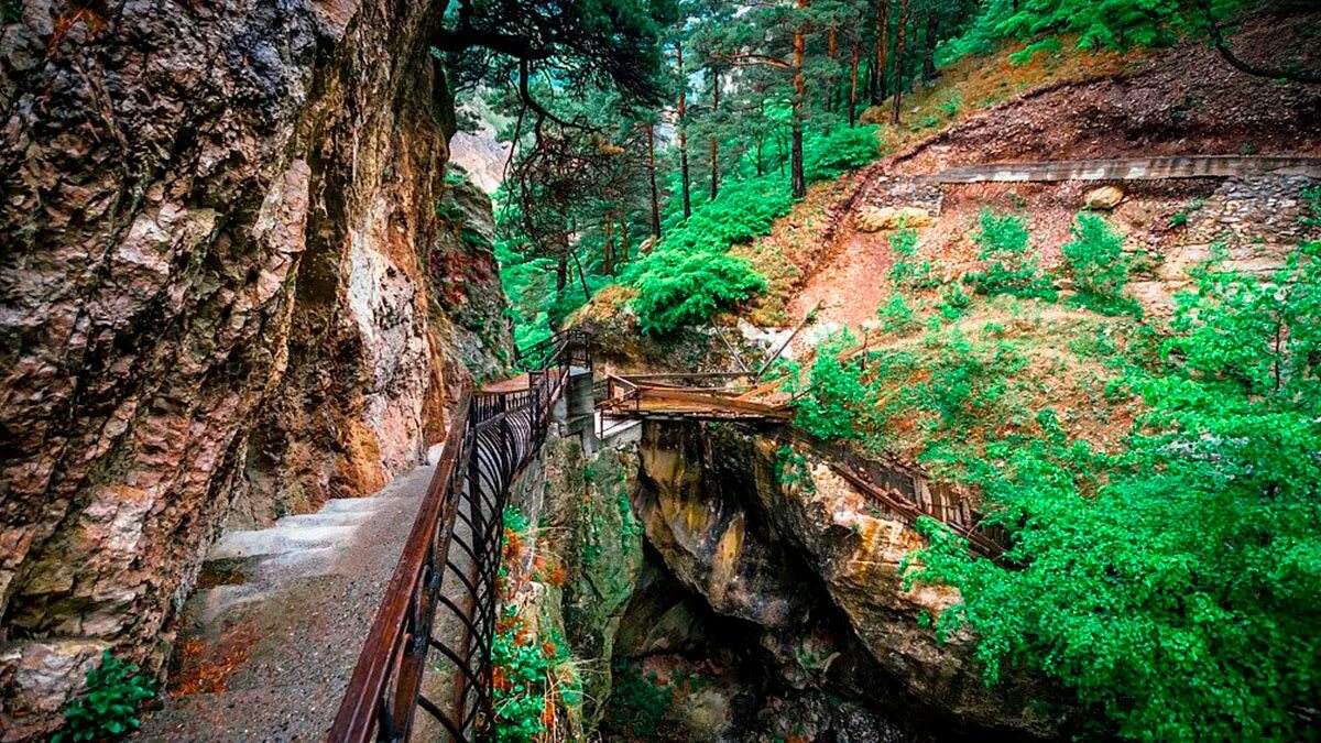 Размытые деревья. Арианда тропа. Криница тропа на скале. Глубина тропа. Глубина тропа.