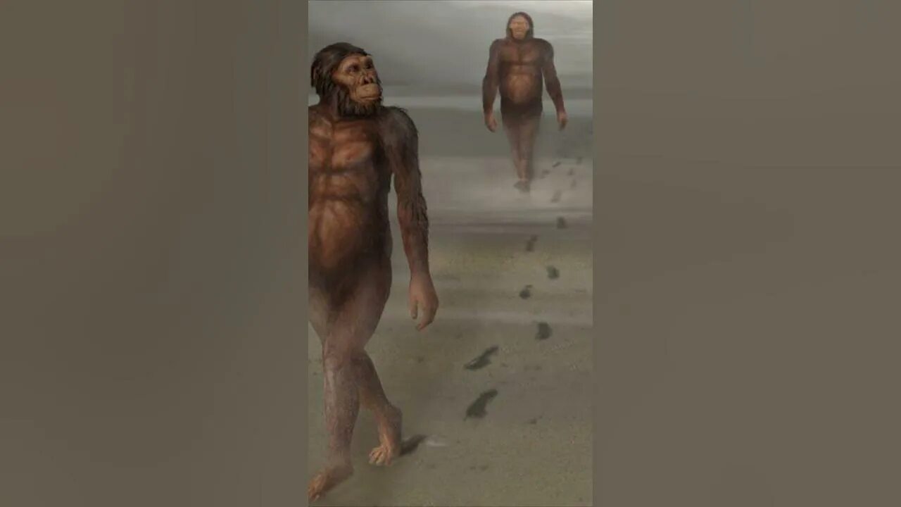 Человек разумный homo sapiens sapiens. Инопланетное происхождение человечества. Проблемы происхождения человека. Происхождение человека. Происхождение человека.