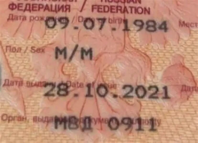 Изменения в загранпаспортах 2025. Изменения в загранпаспортах 2025