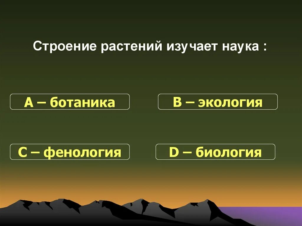 Строение растений изучает наука. Строение растений изучает наука ответы. Строениеростенийизучает. Фенология это наука изучающая.