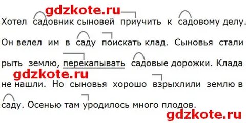 Корень слова садовник