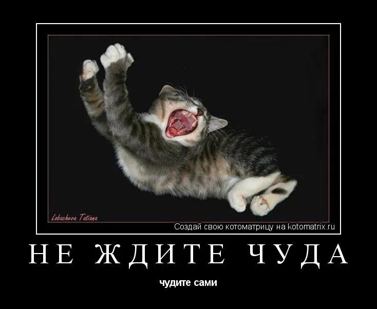 Не жди чуда чуди сам картинка. Не ждите чуда чудите сами картинки. открытка не ждите чуда чудите сами. не ждите чудес чудите сами. не ждите чудес чудите сами картинки.