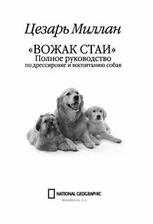 Как правильно воспитывать щенка