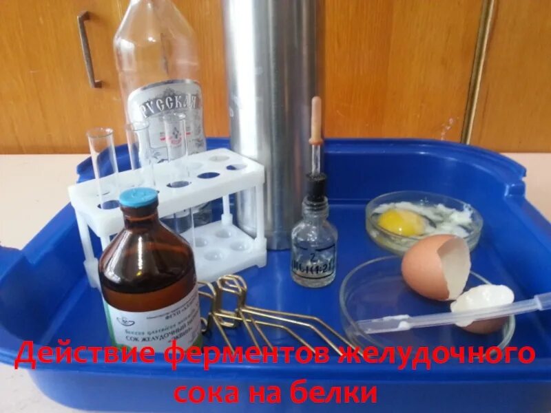 Лабораторная работа желудочный сок. Воздействие желудочного сока на белки. изучение действия желудочного сока на белки. действие ферментов желудочного сока на белки. воздействие желудочного сока на белки лабораторная.