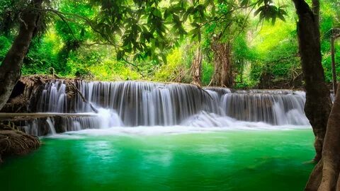 Фотообои экрана компьютера
