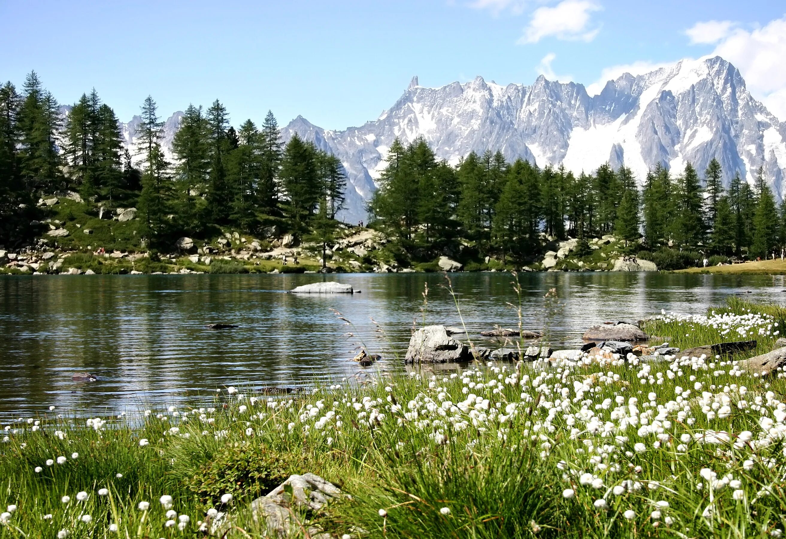 Альпийские Луга Каракольские озера. Италия Валле д'Аоста природа. Озеро Златибор. Горные ручьи Италии. Местоположение и природа