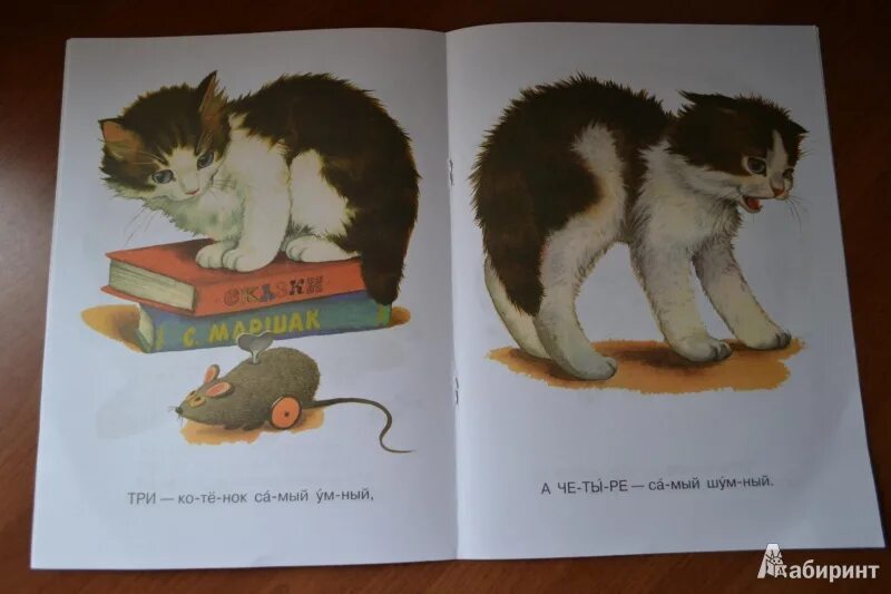 Михалков котята читать. Котята михалков стих. книга котята (михалков с.в.).