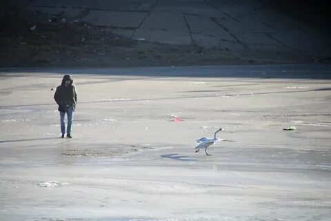 Данная уникальный случай