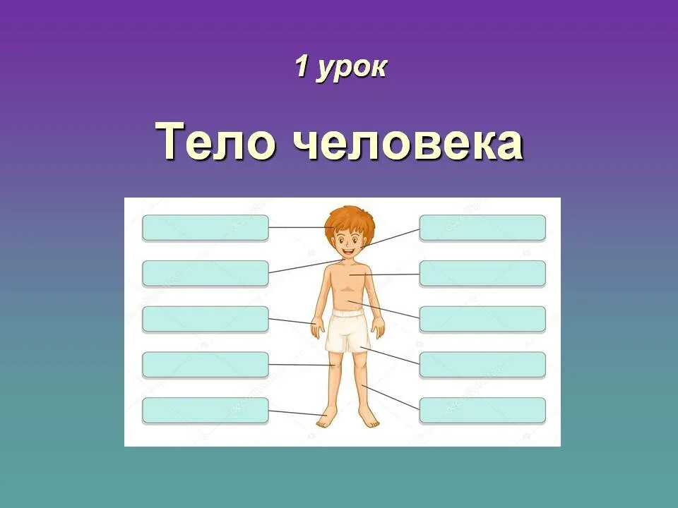 Теле урок 4 класс. Мое тело урок 1 класс окружающий. цвет мой организм. 10 урок мое тело. картинка мой тело правильно.