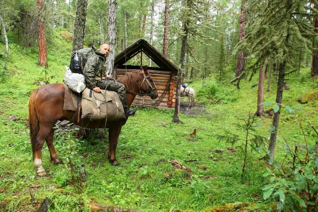 Тайга таежная жизнь