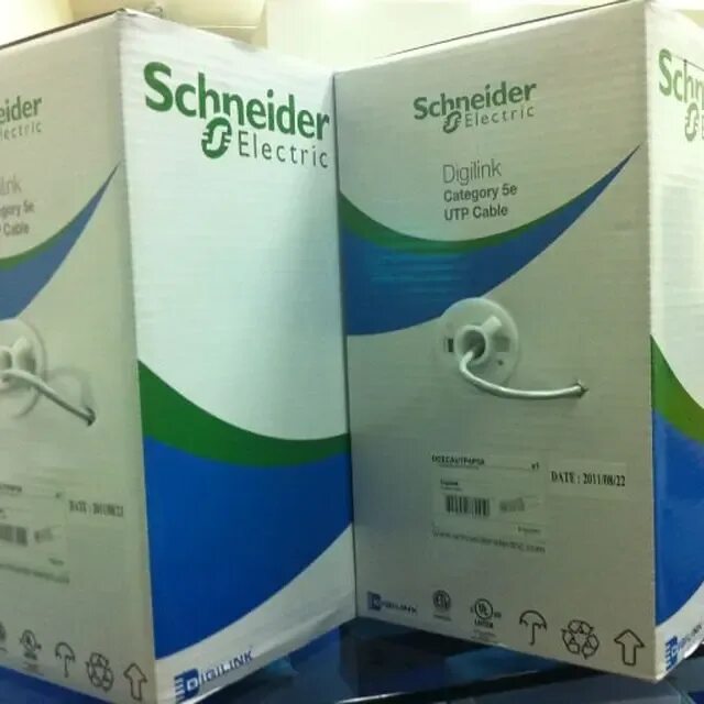 Schneider cat. Шнайдер от кошки. Энни уайт. Schneider cat. Schneider cat.