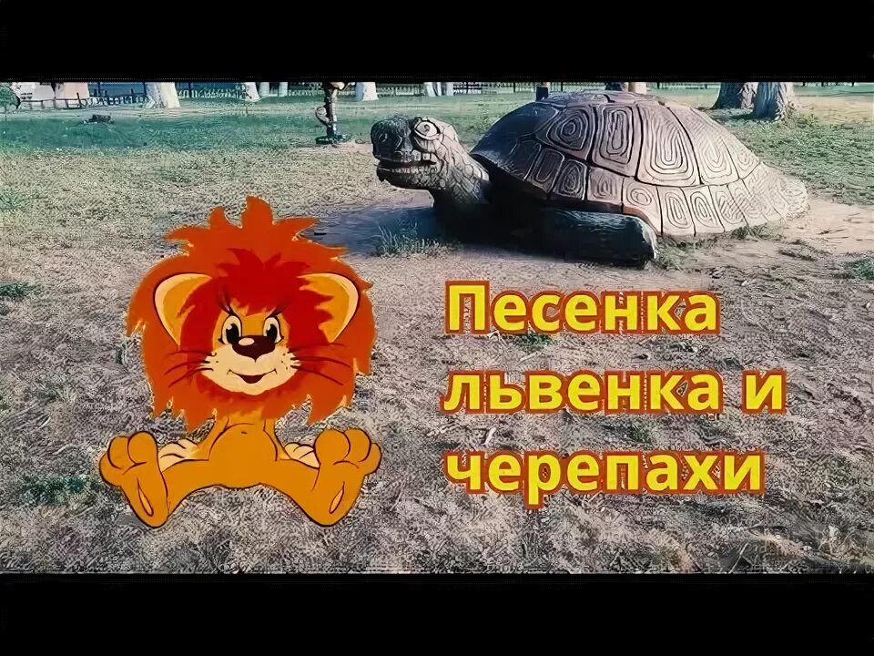 Песенка черепахи я на солнышке