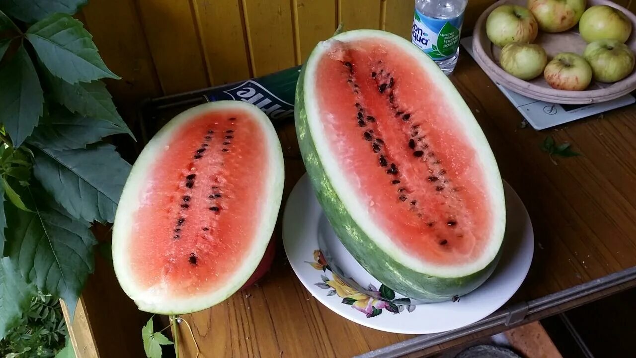 Арбуз. Арбуз в разрезе. Сорт арбуза соренто. Арбуз рубин. Арбуз.