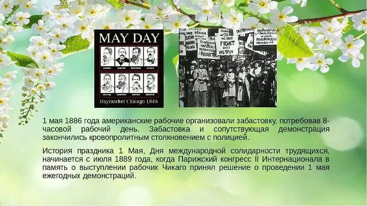 4 майских дня