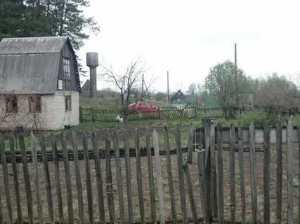 Д новая жизнь