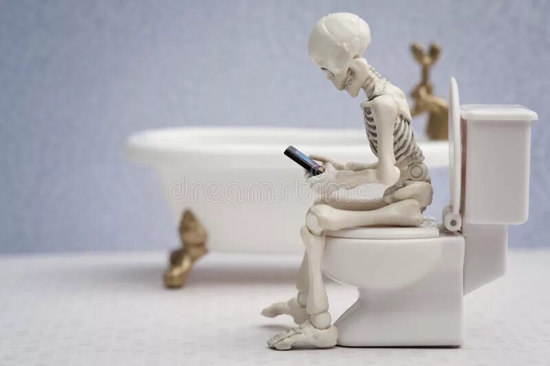 Скелет в туалете с телефоном. Брелок скелет на унитазе. Туалет скелетон. Рыцарь на унитазе. Туалет скелетон.