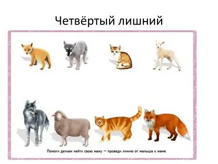 Дети 4 года какое животное