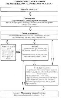 Лицу порядок подачи установлен в