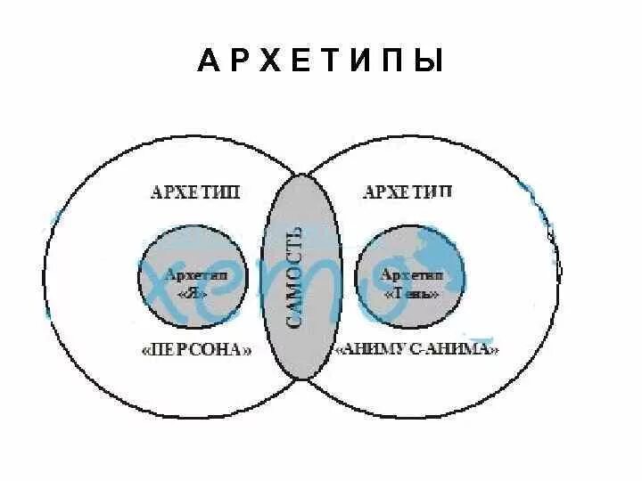 Самость юнга. Архетипы Юнга Самость. Юнг архетипы Анима. Схема архетипов. Архетипы Анима Анимус Самость.