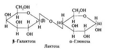 Галактоза это
