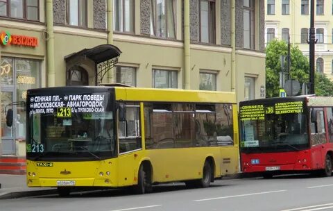 178 автобус спб