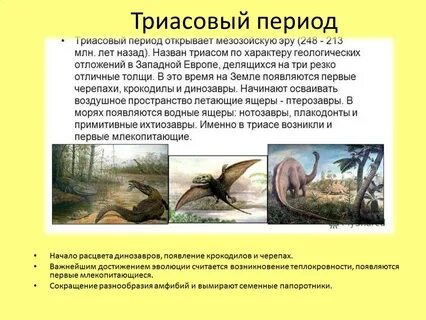 Период мезозойской эры 3