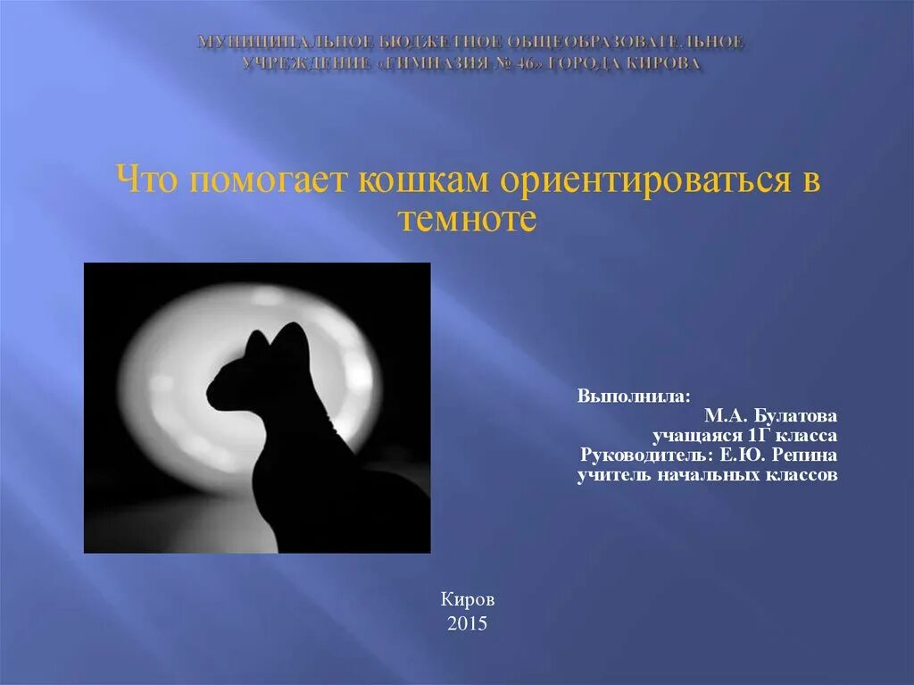 В темноте трудно было понять по чему. Кошка ориентируется в темноте. Ориентирование кошек в темноте. Человек ориентируется в темноте. Позволяет ориентироваться в темноте.