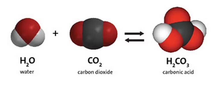 Co2 m г. Молекула угля. Диоксид карбона. Молекула угольной кислоты. Строение молекулы угольной кислоты.