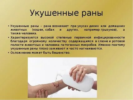 Чем обработать рану после укуса