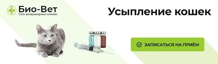 Усыпление на дому вызов